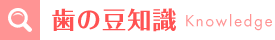 歯の知識